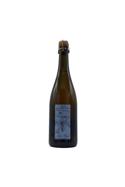 Julien Thurel - Cidre champêtre 2021