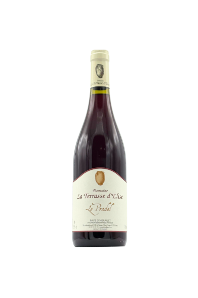 La Terrasse d'Elise - Le Pradel - 2021