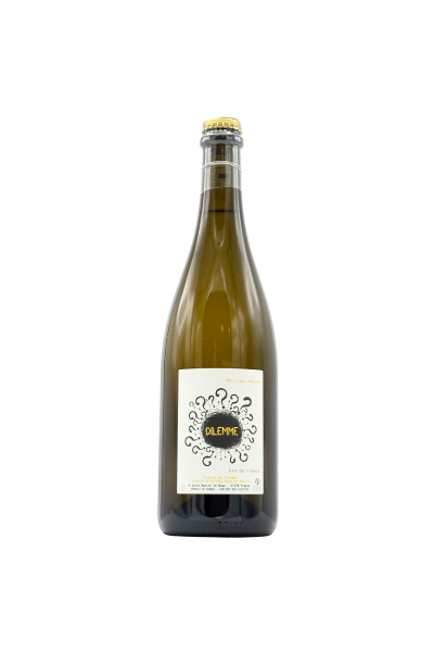 Domaine Les Pierres Ecrites - Pétillant Naturel "Dilemme" 2023