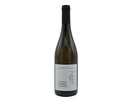 Fabrice Gasnier - Chinon...