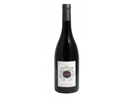 Domaine des Pierres Ecrites - Vin de France - Dilemme rouge 2019