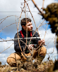 Domaine Pierrick Bouley