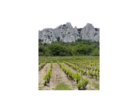 Domaine La Bouissière