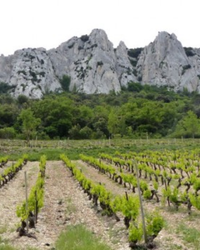Domaine La Bouissière